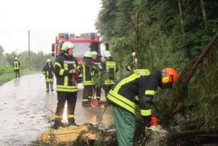 2018-6-6-BI-Katharina Boni-Feuerwehr Biberach-Sturmschäden-IMG_2689