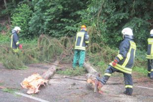 2018-6-6-BI-Katharina Boni-Feuerwehr Biberach-Sturmschäden-IMG_2693