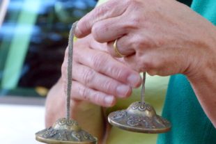 2018-6-8-OH-bi-Waldbaden-Zimbel