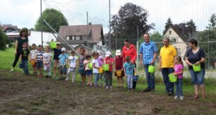 Schulfüchse bringen aus was Bienen mögen