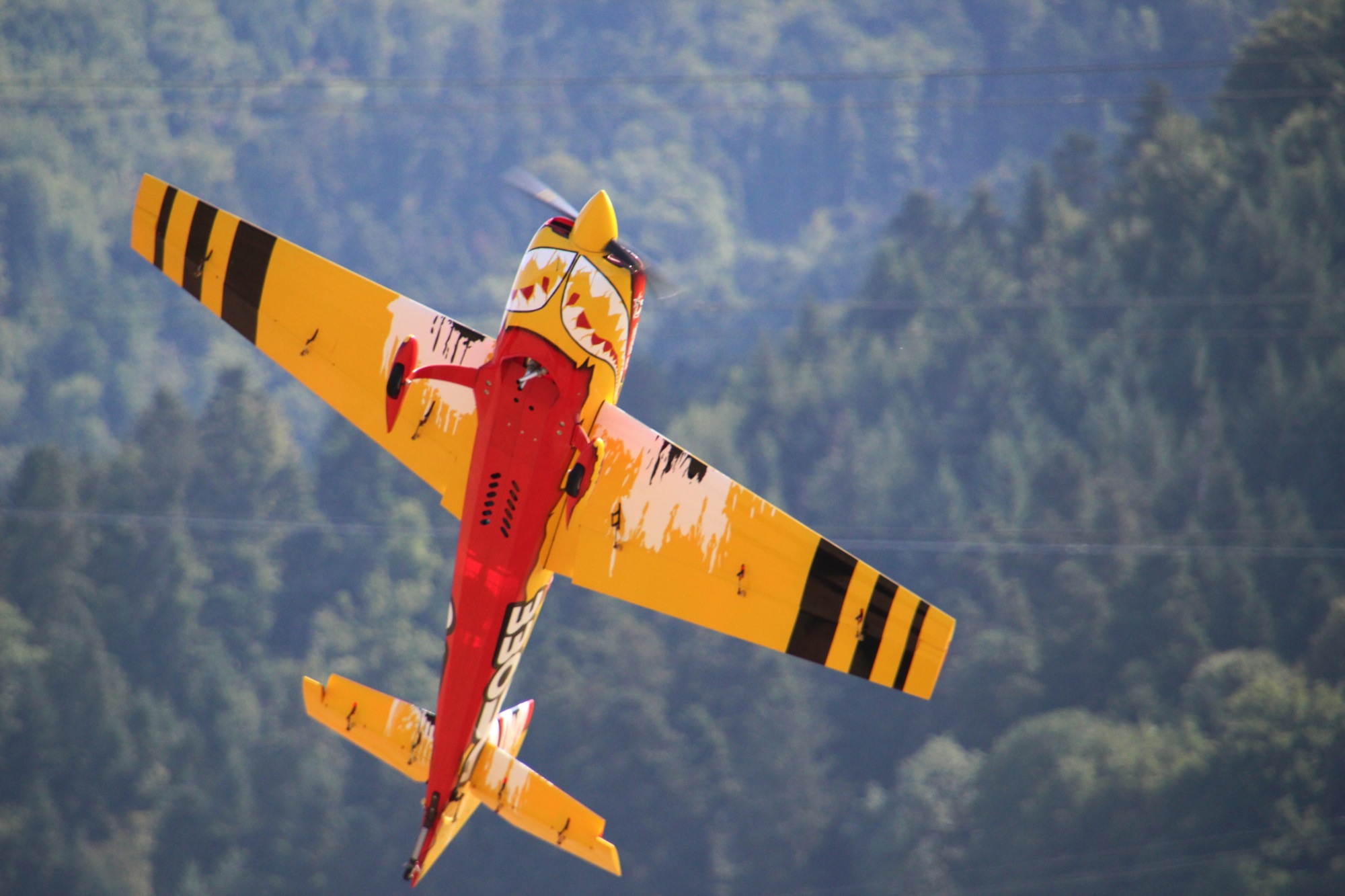 2018-7-11-BI-Robert Piskadlo-Modellflieger-IMG_6274
