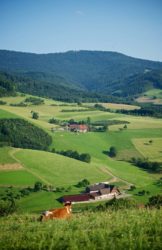 Touristiker haben »Natürlichen Dorfurlaub« im Blick