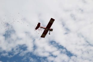 2018-7-18-BI-Grashüpfer-IMG_6873