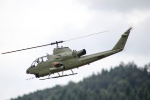 2018-7-18-BI-Grashüpfer-IMG_7169