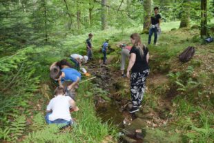 2018-7-18-NO-hv-Grundschüler-Höhenhöfe und Glasbläser-DSC_0818