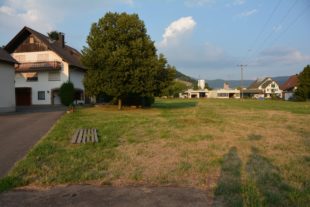 Bebauungsplan »Mühlenweg« einstimmig befürwortet