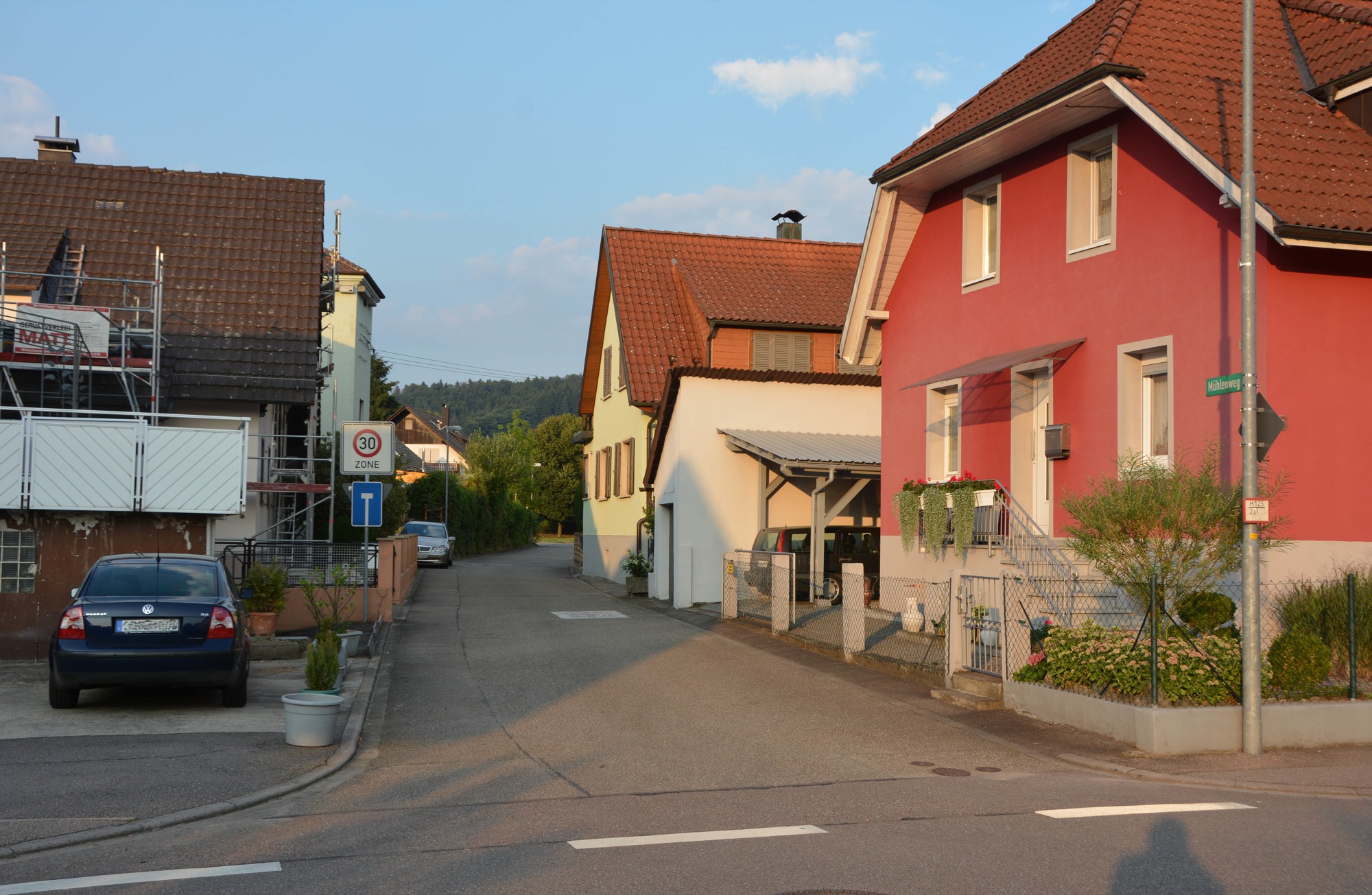 2018-7-25-BI-hps-Mühlenweg Bestand-DSC_0151 2
