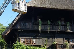 2018-7-27-ZE-UH-hpw-Reetdach Fürstenberger Hof-20180724_094336_resized_3