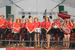 2018-7-9-BI-Stefan Witschel-Blasorchester-Dorffest-IMG_8215a