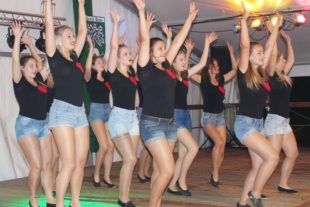 2018-7-9-BI-Stefan Witschel-Blasorchester-Dorfffest-IMG_8283a