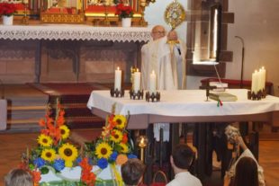 2018-7-9-NO-hv-Ulrichsfest-DSC_0788