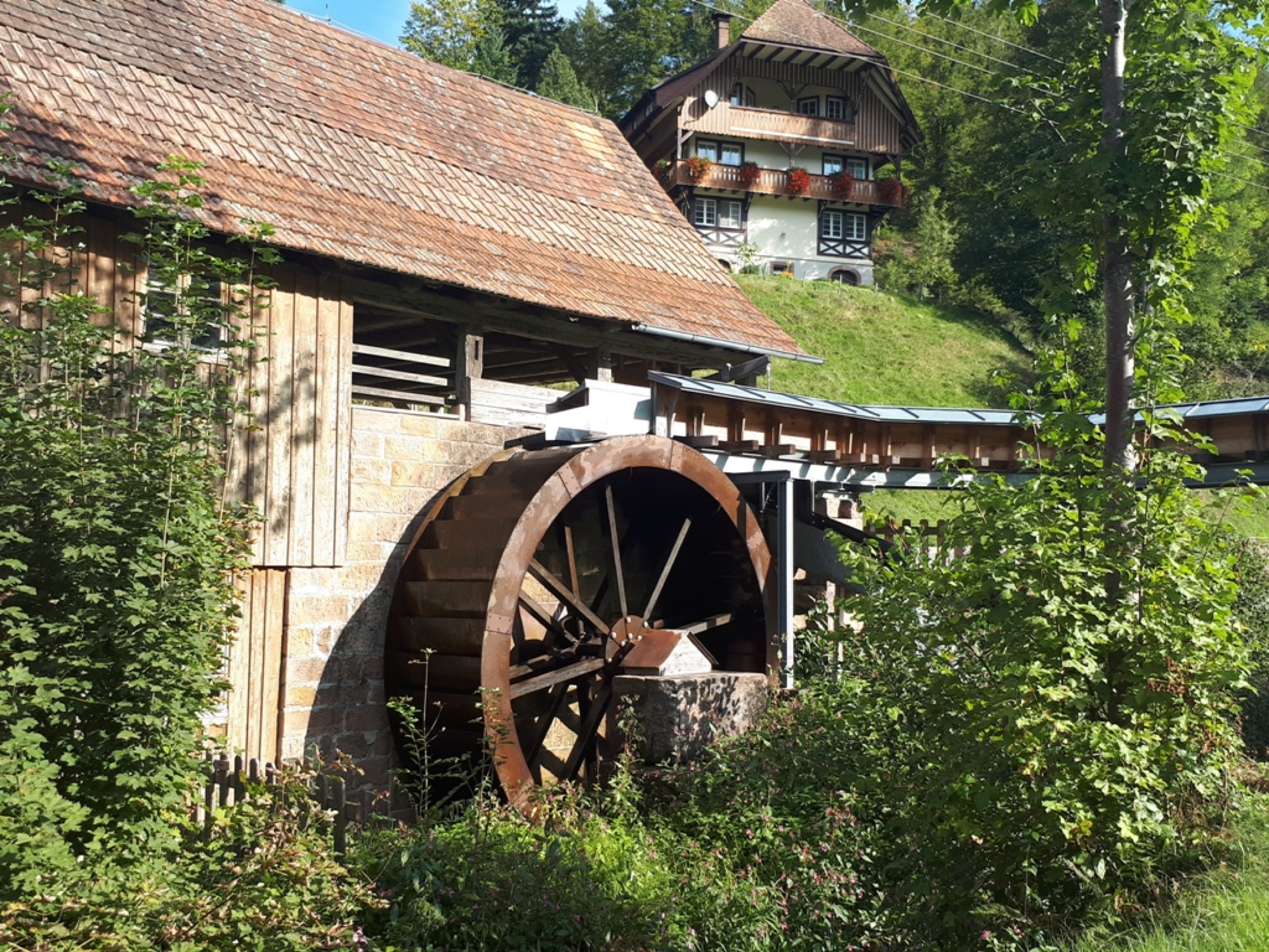 2018-8-10-Fereinregion-Museumswochen-2018_08_01_Gallus-Saege im Zuwälder Tal
