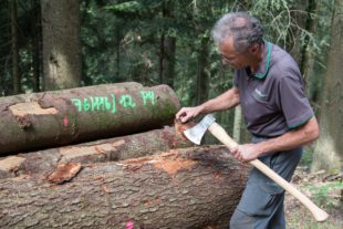 2018-8-10-OH-kal-Borkenkäfer-zvkMG8A0287