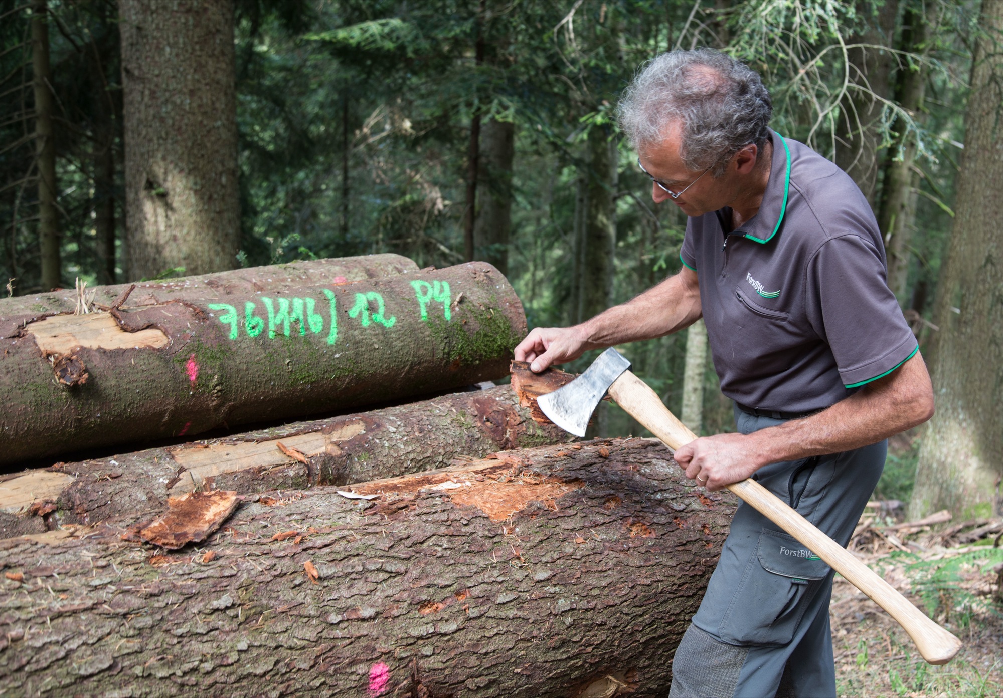 2018-8-10-OH-kal-Borkenkäfer-zvkMG8A0287