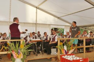 2018-8-12-BI-PB-Musikverein Prinzbach-Sommerfest 2018-Foto Andrea Huber