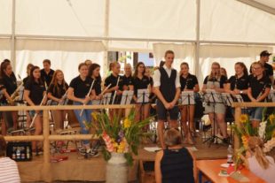 2018-8-12-BI-PB-Musikverein Prinzbach-Sommerfest 2018-Foto Ute Berger-UTS_6064