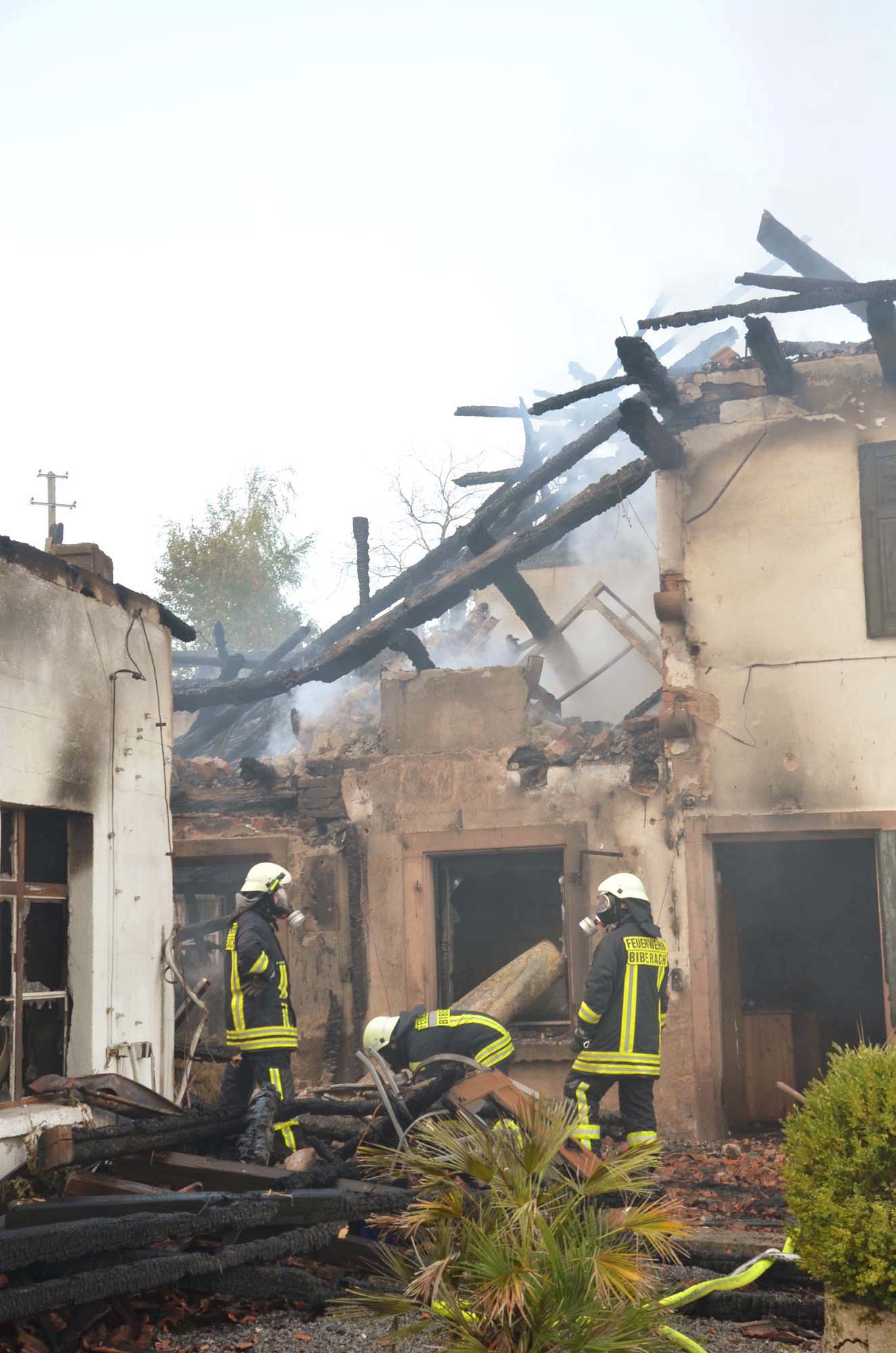 2018-8-17-BI-hps-Brand Rebhof-UTS_6205 2