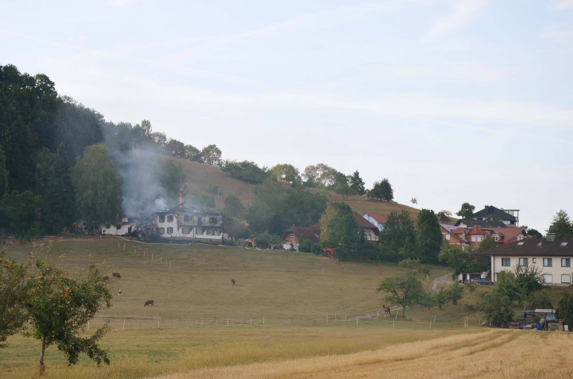 2018-8-17-BI-hps-Brand Rebhof-UTS_6216 2