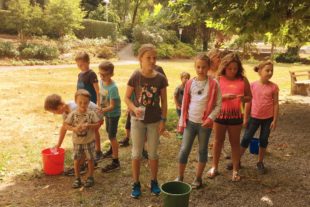 2018-8-20-NO-hv-Bildungswerk-Sommerprogramm-IMG_1905