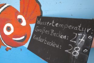 2018-8-22-NO-Schwimmbad-Nordrach-Archivbild-IMG_20170524_124221