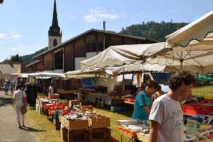2018-8-24-2016-8-29-NO-hv-Nordracher Kilwi-DSC_0297