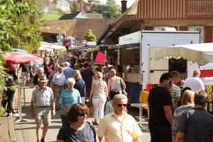 2018-8-31-OH-Kilwi vkIMG_5102