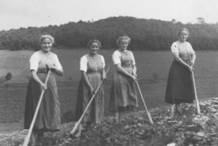 2018-8-31-OH-kal-Hist-Bilder-vk18-35 31.08