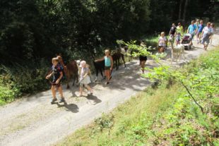 2018-8-8-NO-Waldemar Neumayer-Alpakawanderung-Sommerferien-Wandergruppe