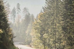 A-2018-9-29-2018-8-22-OH-Tourist-Info-Baiersbronn Classic-image001