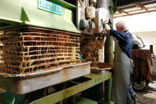 2018-9-19-OH-Jill Löffler-Apfel-Most-Wochen-Schau-Mosterei