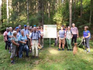 Wanderung zu den Nordracher Höhenhöfen und Altglashütten