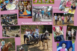 2018-9-24-NO-Grundschule Ferienbetreuung collage1 ferienbetreuung sommer