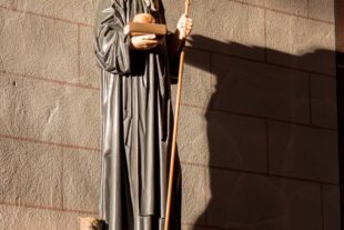 2018-10-17-OH-kal-Vita Gallus-vkMG8A9960b