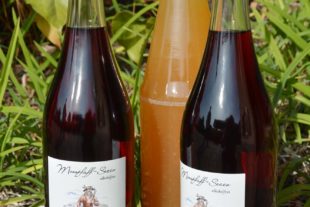 2018-10-19-NO-hps-Saftladen-Horsthemke-DSC_1718 2