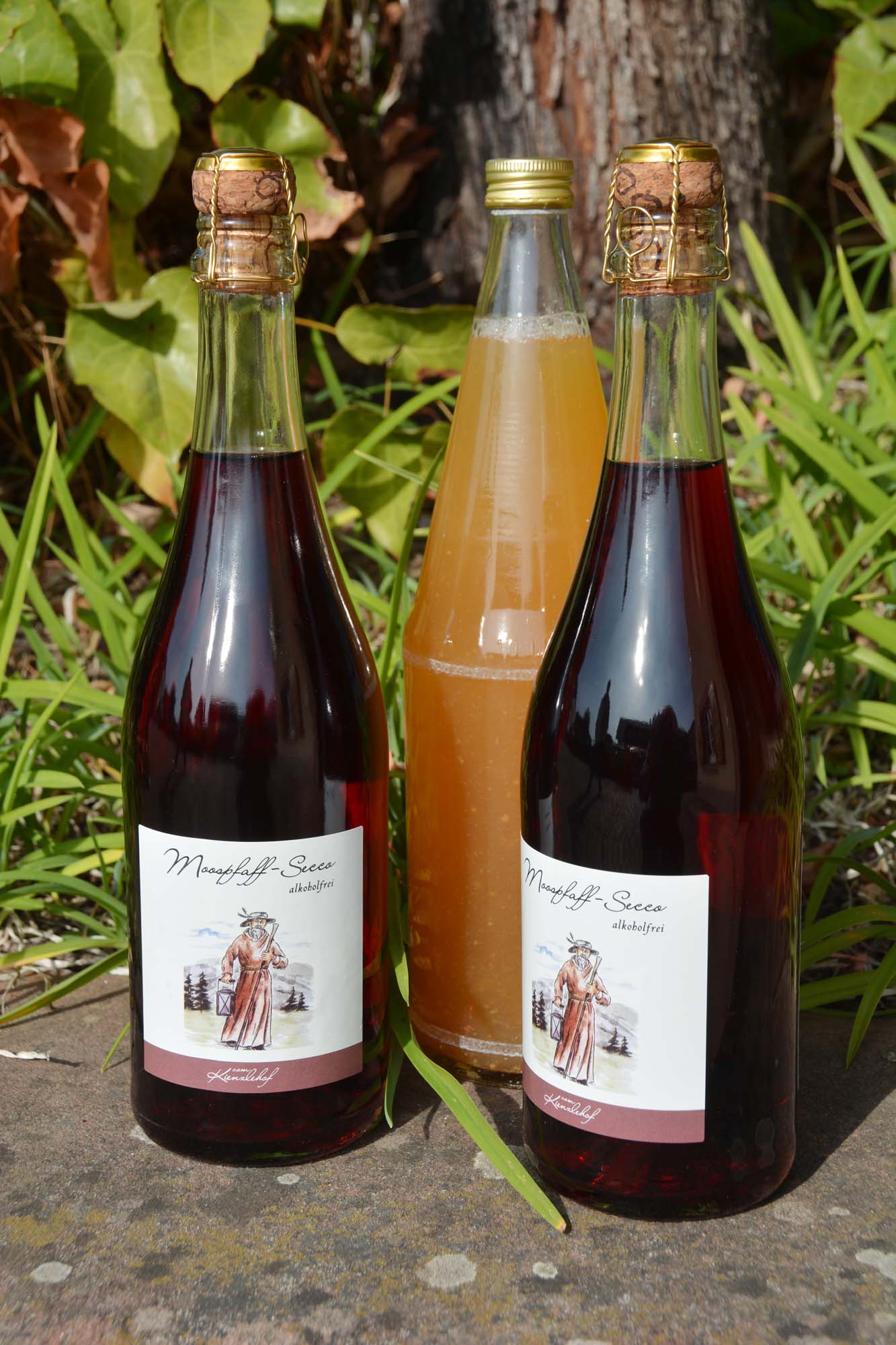 2018-10-19-NO-hps-Saftladen-Horsthemke-DSC_1718 2