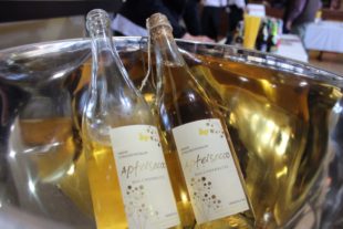 2018-10-24-NO-Kamm-Essig-Moospfaff-Secco