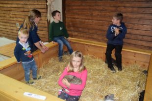 2018-10-24-NO-hv-Kleintierzüchter-Lokalschau-DSC_1532