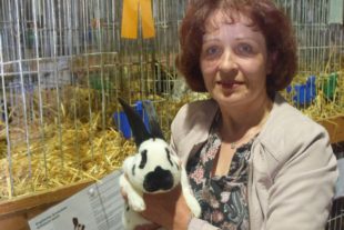 2018-10-24-NO-hv-Kleintierzüchter-Lokalschau-DSC_1549