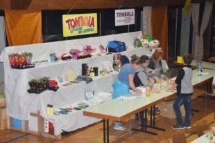 2018-10-24-NO-hv-Kleintierzüchter-Lokalschau-DSC_1552