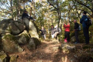 2018-10-24-NO-hv-Nordrach-Niedernai-Partnerschaftswanderung-DSC_1562