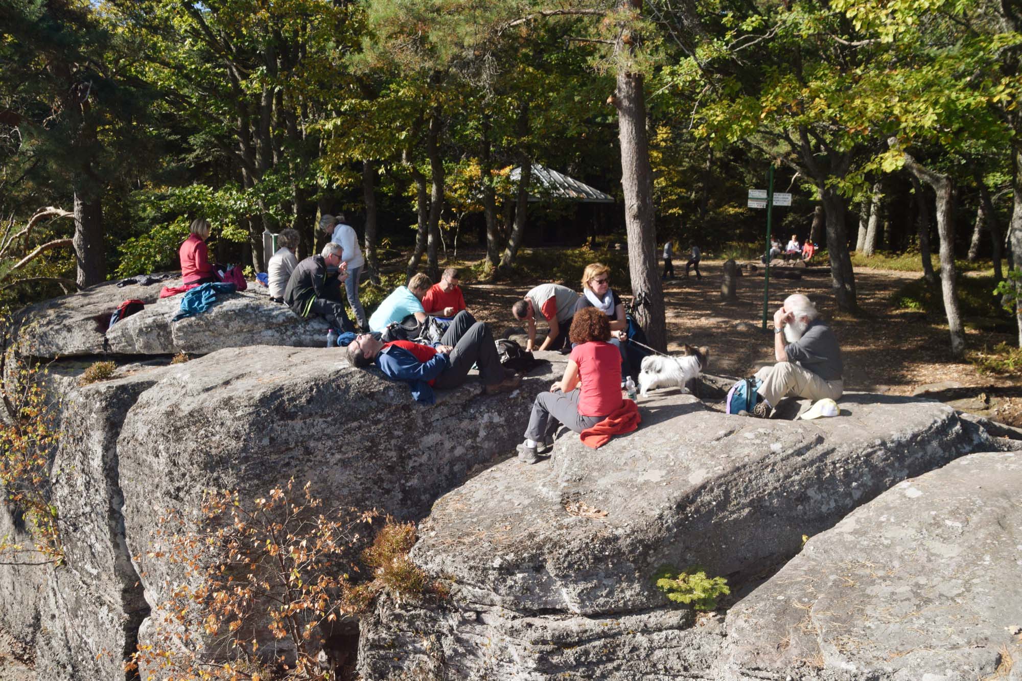 2018-10-24-NO-hv-Nordrach-Niedernai-Partnerschaftswanderung-DSC_1591