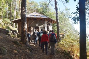 2018-10-24-NO-hv-Nordrach-Niedernai-Partnerschaftswanderung-DSC_1597