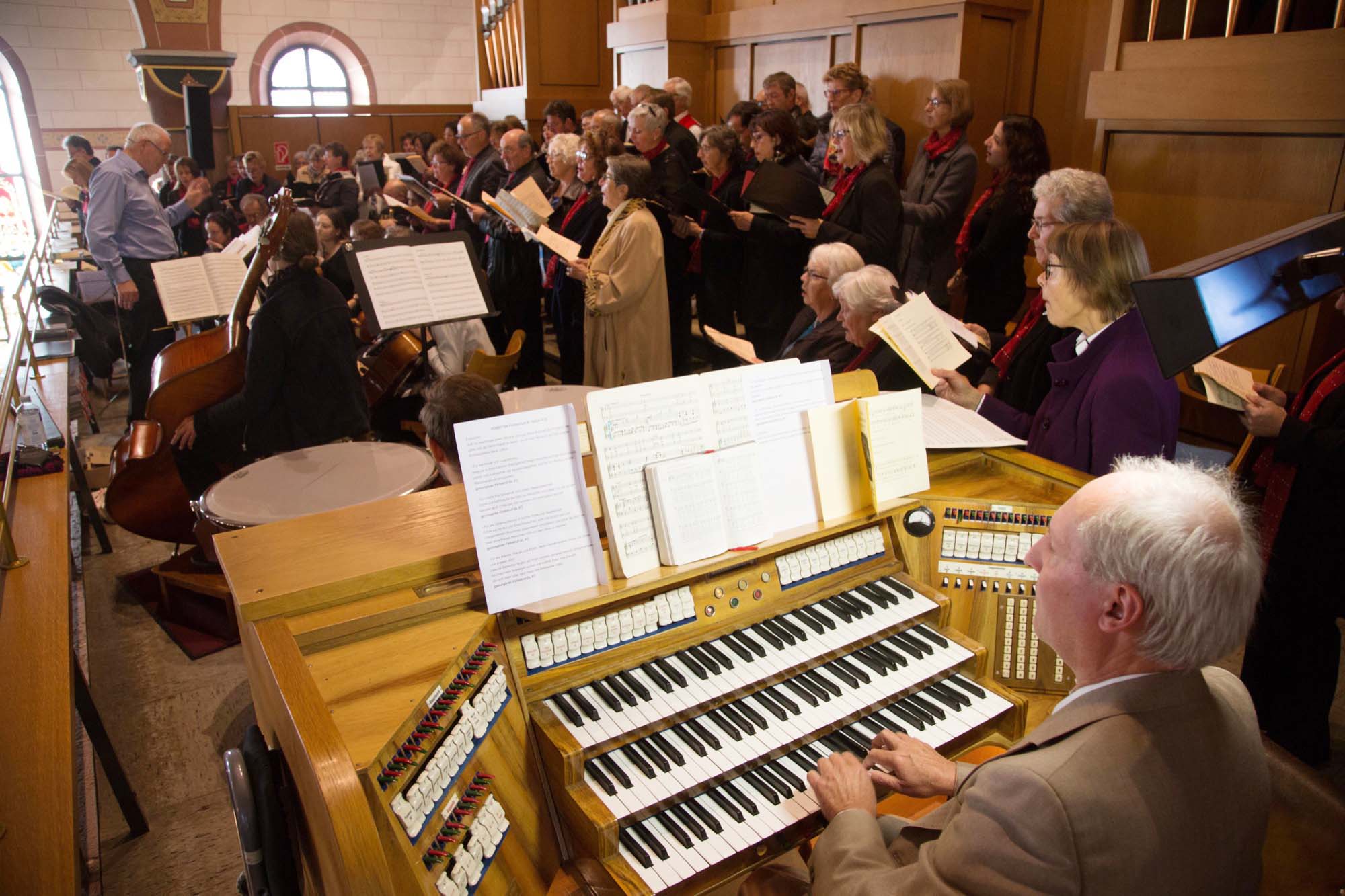 2018-10-24-OH-kal-Gallenkilwi-vkMG8A0477