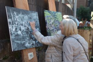 2018-10-24-OH-kal-Gallenkilwi-vkMG8A0610b