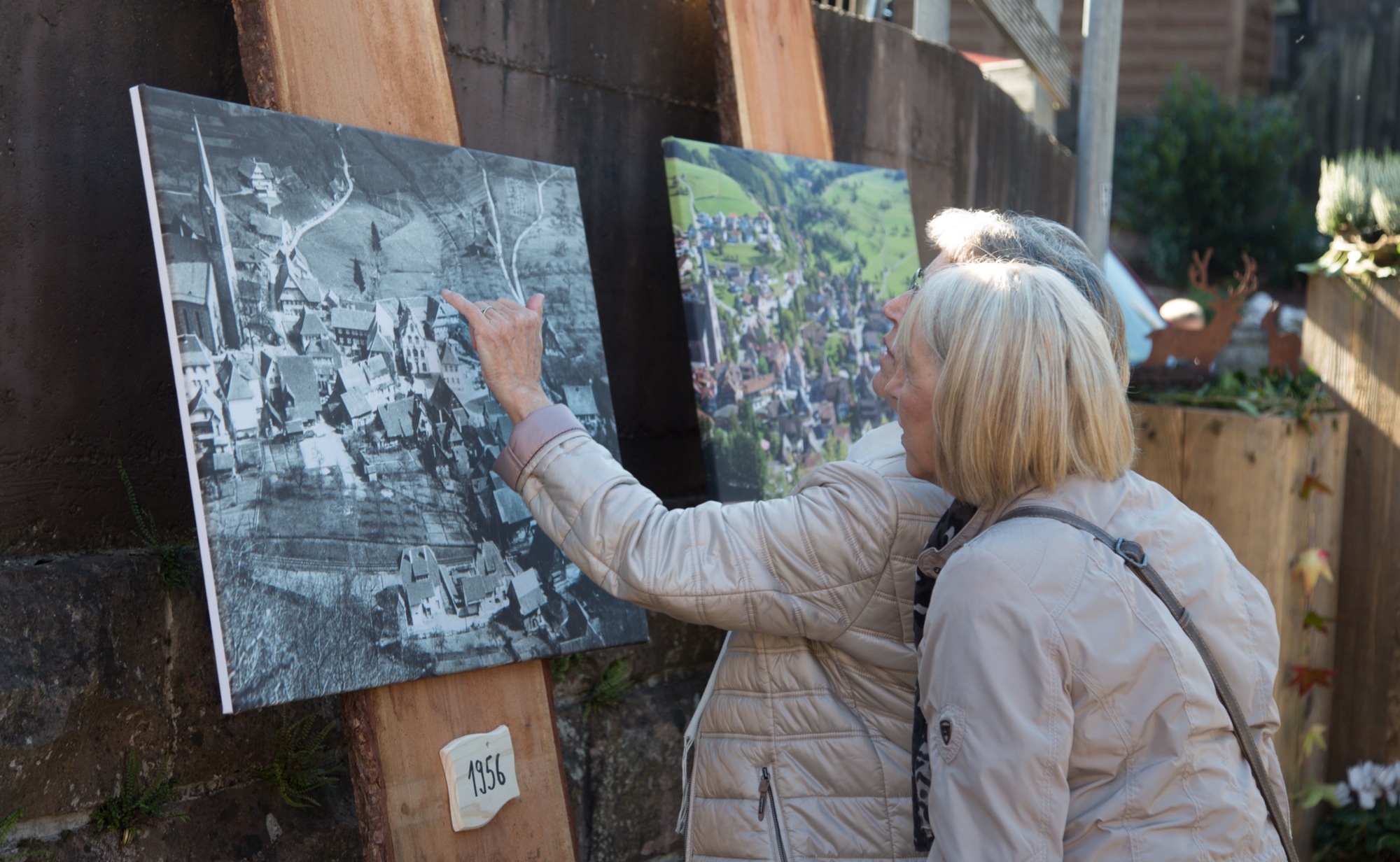 2018-10-24-OH-kal-Gallenkilwi-vkMG8A0610b