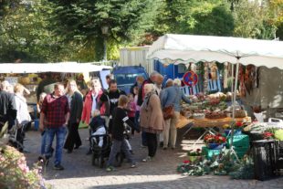 2018-10-24-OH-kal-Gallenkilwi-zvkMG8A0612