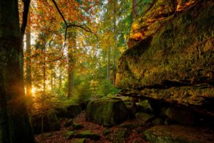 2018-10-30-OH-Tourist-Info-Heidenkirche im Herbst