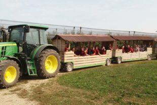 2018-10-5-OH-Cäcilia Müller-Tagesausflug Bodensee-GV-Frohsinn-IMG-20180916-WA0011.1