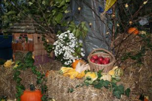 Microsoft Word - Voranzeige Lokalschau 2018