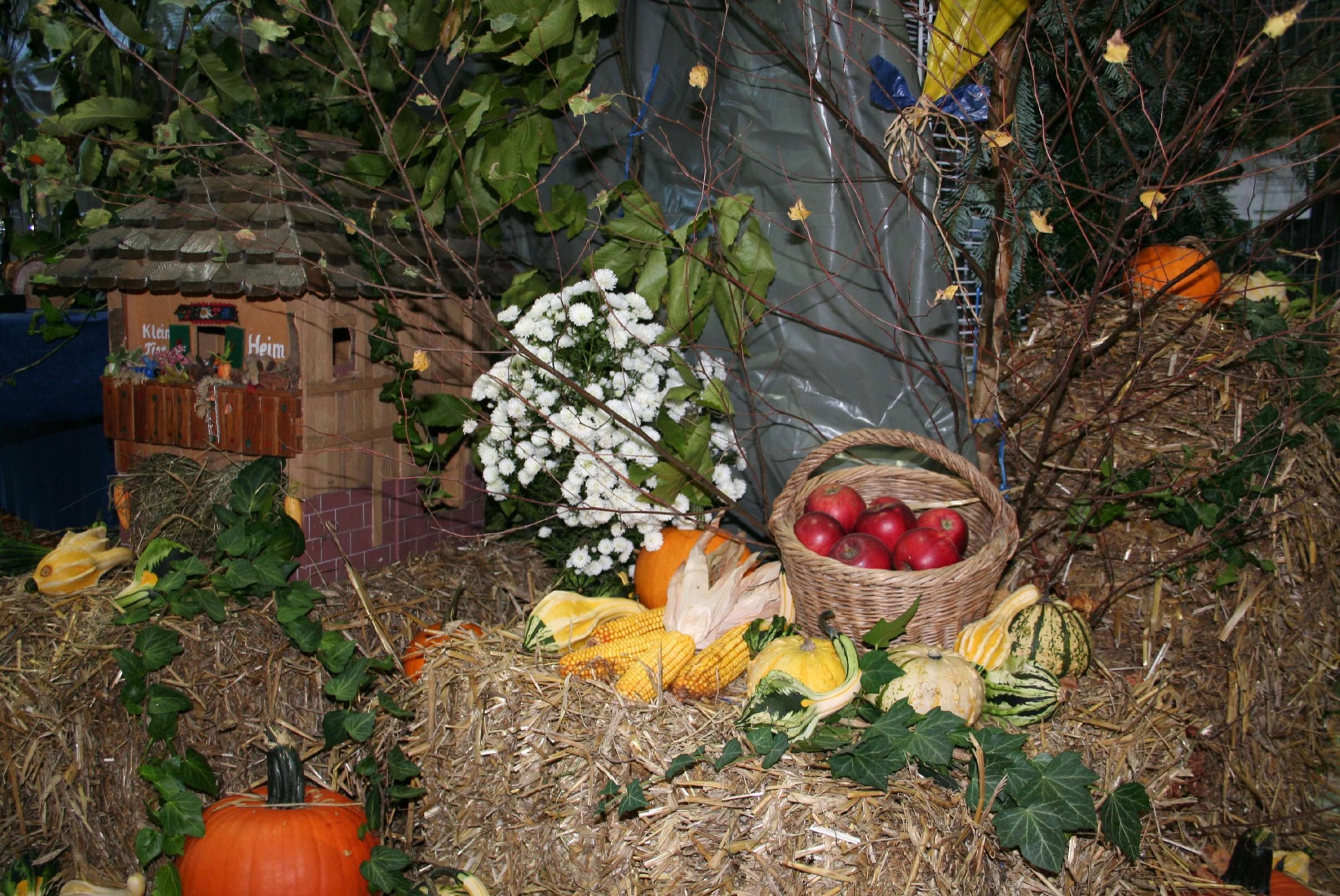 Microsoft Word - Voranzeige Lokalschau 2018